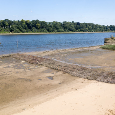 Brushwood groin for beach protection at Warflether Sand in the Lower Weser. Source: BAW